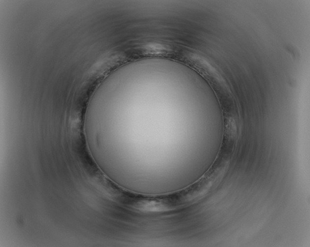 X0000114060557200910191503