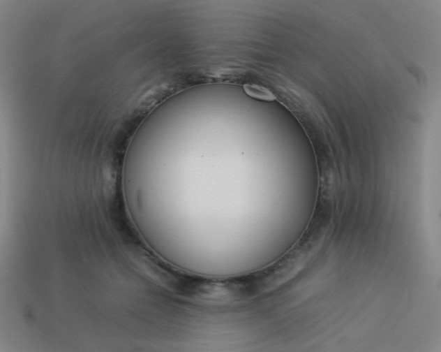 X0000114060558200910191503