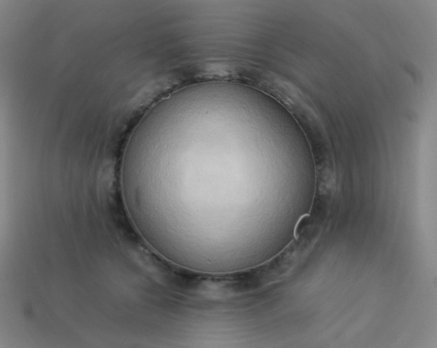 X0000114060560200910191503