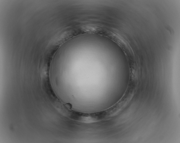 X0000114060561200910191503