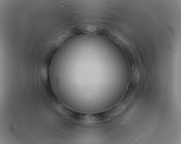 X0000114060562200910191503