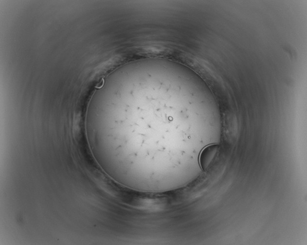 X0000114060563200910191503