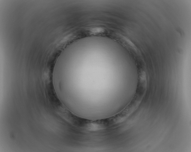 X0000114060565200910191503