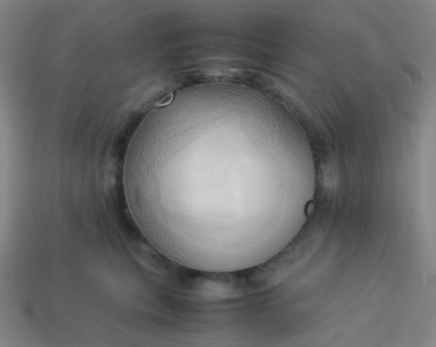 X0000114060567200910191503