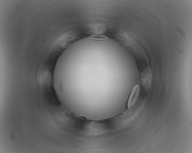 X0000114060568200910191503