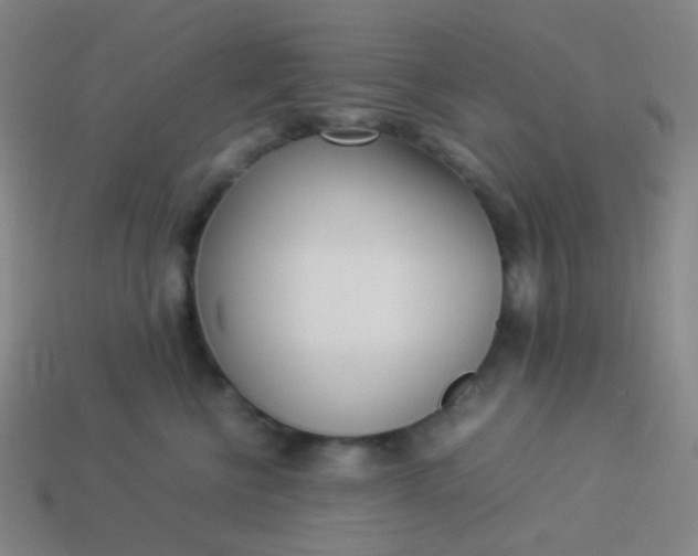 X0000114060570200910191503