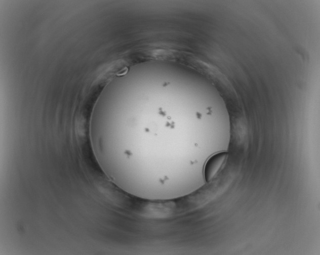 X0000114060571200910191503