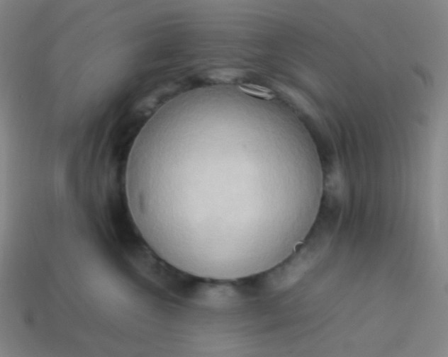 X0000114060572200910191503