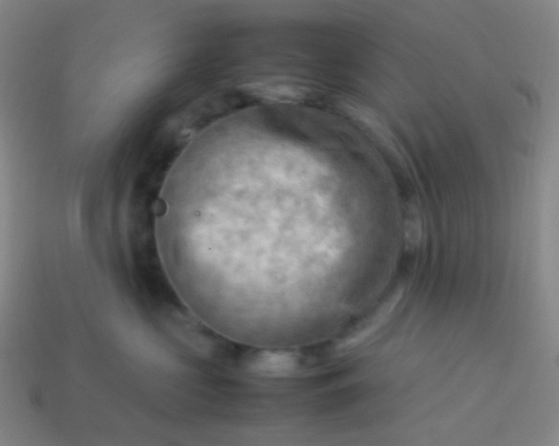 X0000114060573200910191504