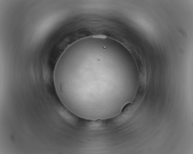 X0000114060574200910191504