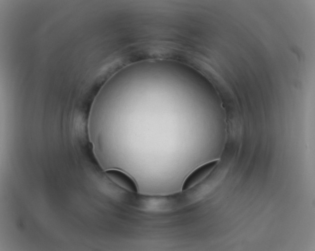 X0000114060575200910191504