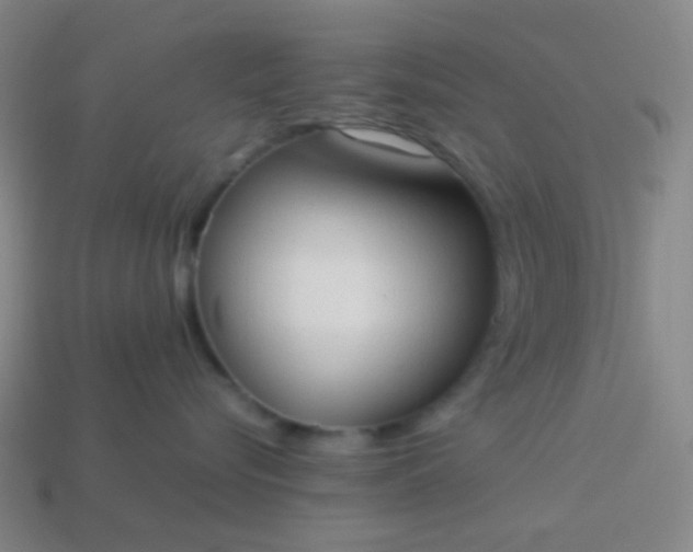 X0000114060576200910191504