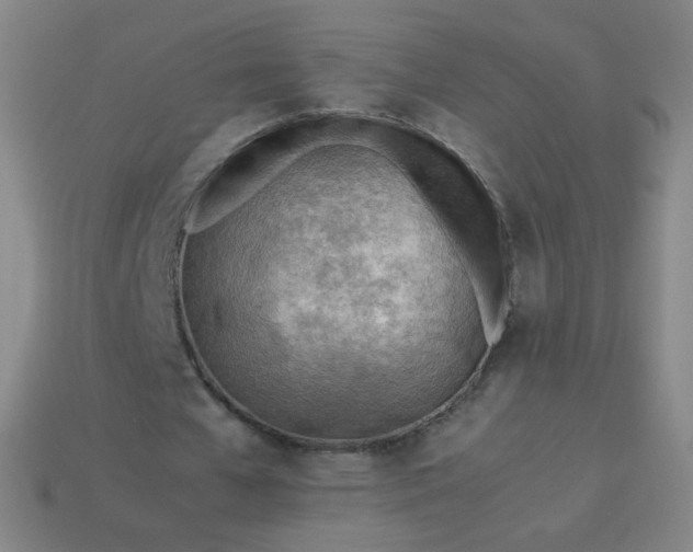 X0000114060577200910191503