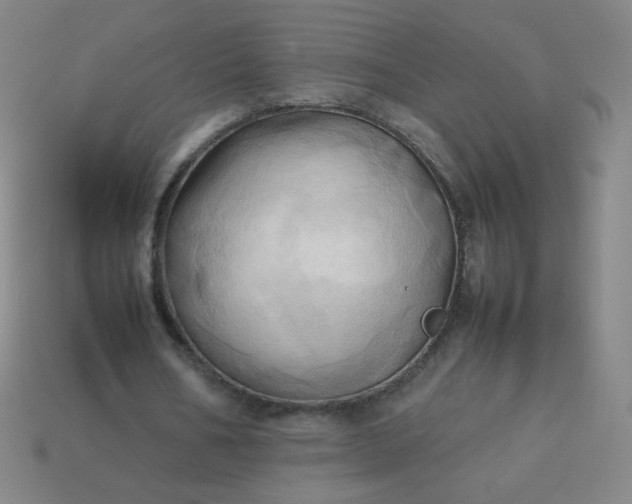 X0000114060578200910191503