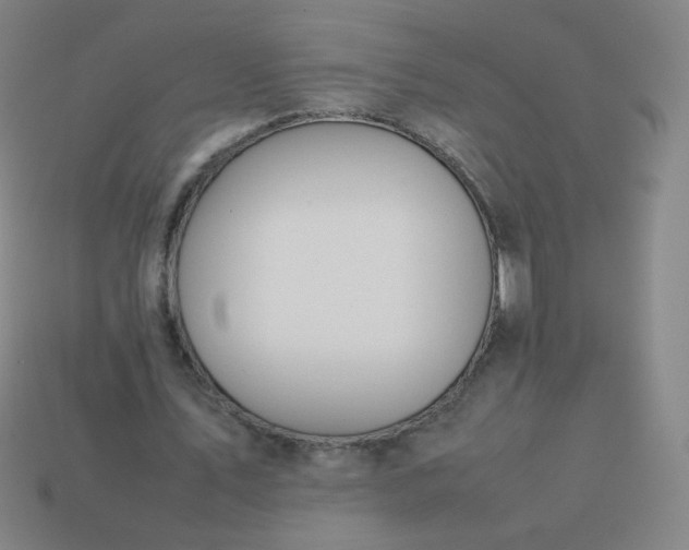 X0000114060579200910191503