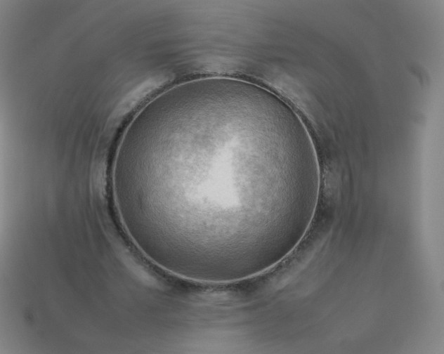 X0000114060581200910191503