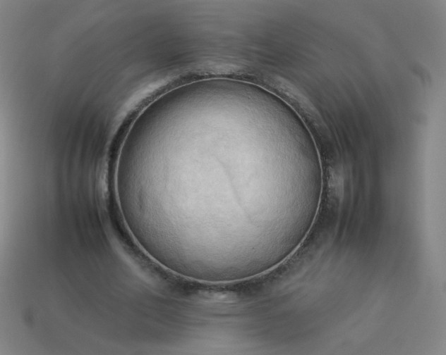 X0000114060582200910191503