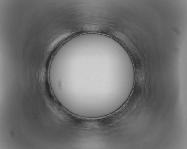 X0000114060583200910191503