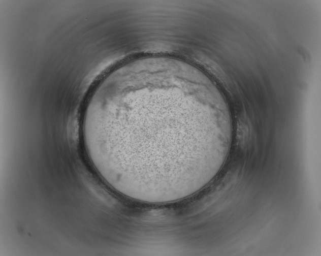 X0000114060584200910191503