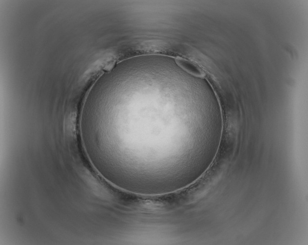 X0000114060585200910191503