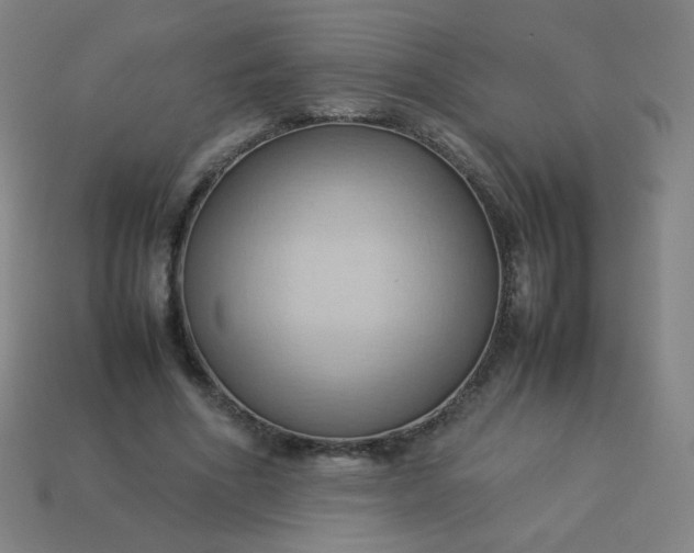 X0000114060586200910191503