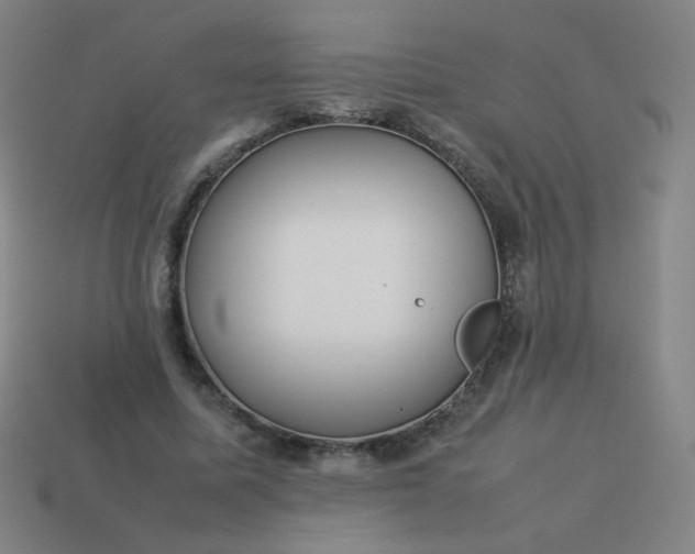 X0000114060587200910191503