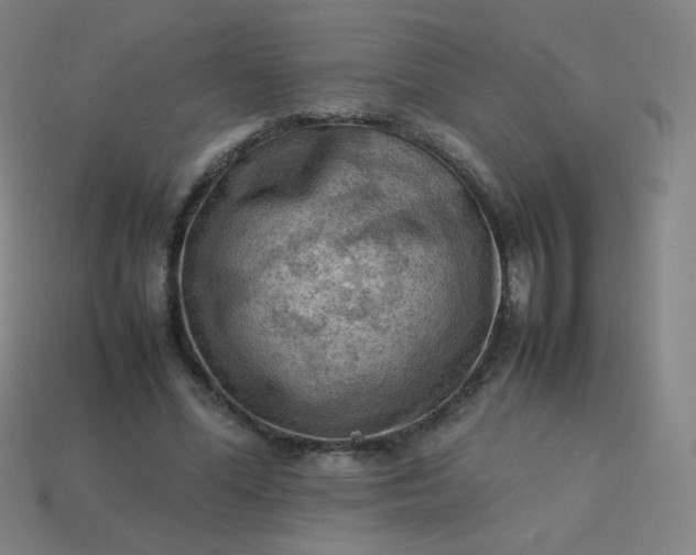 X0000114060588200910191503