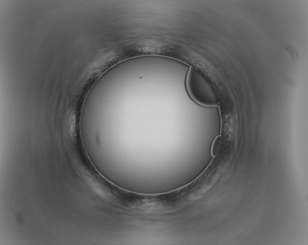 X0000114060589200910191503