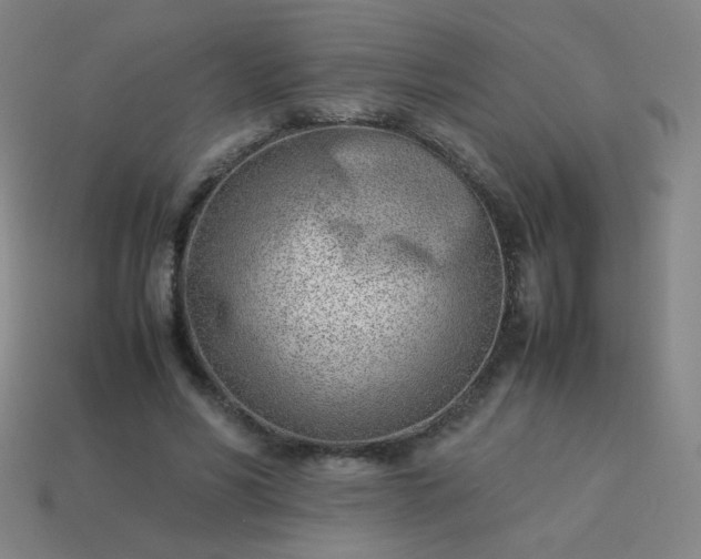 X0000114060590200910191503