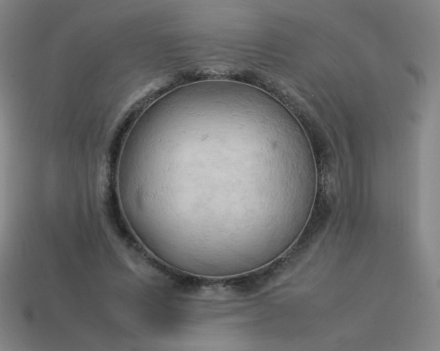 X0000114060591200910191503