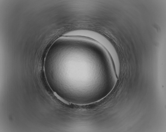 X0000114060593200910191503