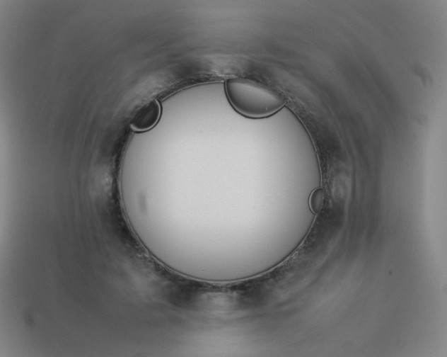 X0000114060595200910191503