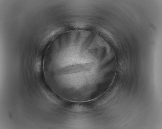 X0000114060596200910191503