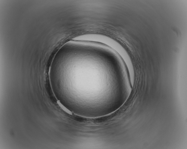 X0000114060597200910191503