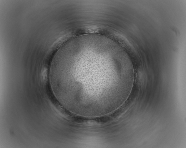 X0000114060598200910191503