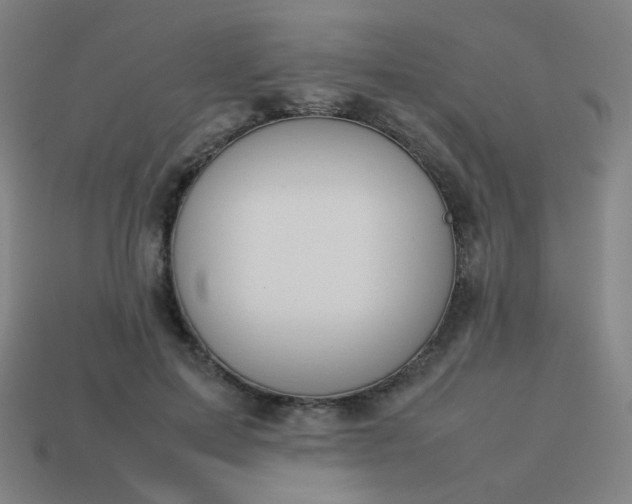 X0000114060599200910191503