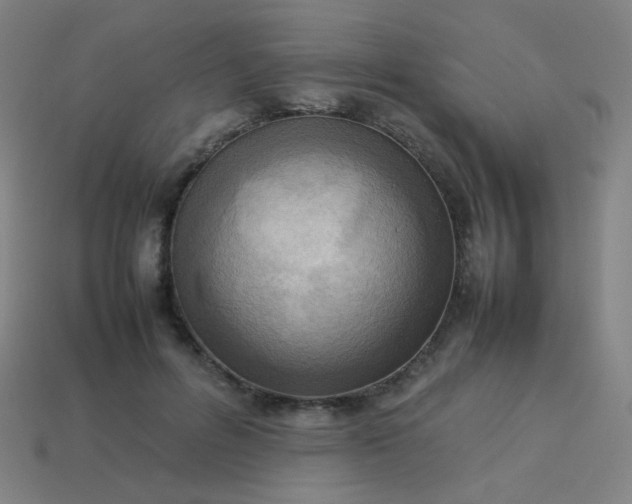 X0000114060600200910191503