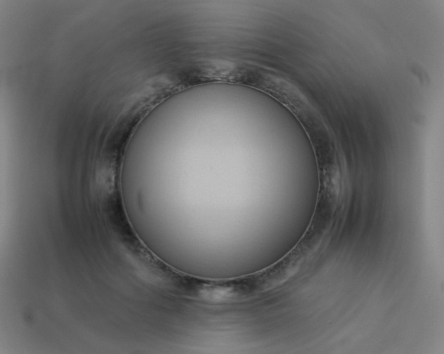 X0000114060602200910191503