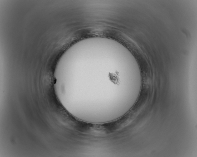 X0000114060603200910191503