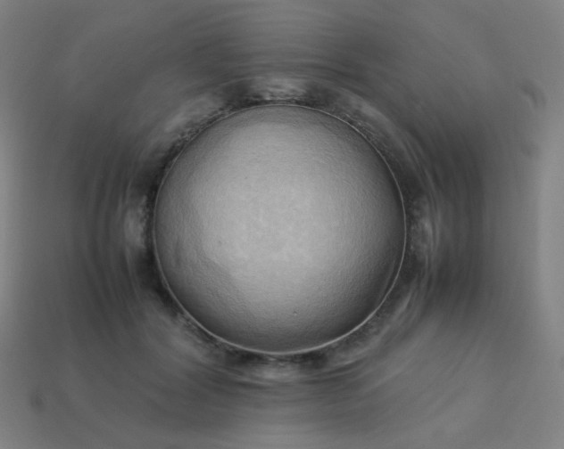 X0000114060604200910191503