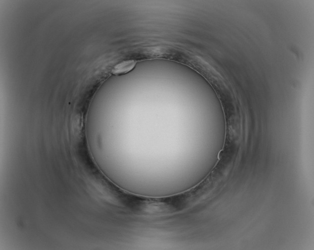 X0000114060605200910191503