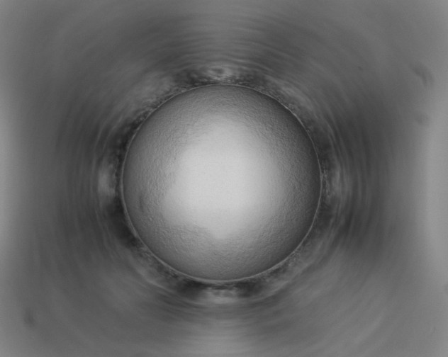 X0000114060606200910191503