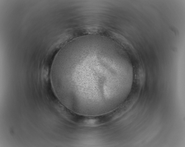 X0000114060610200910191503