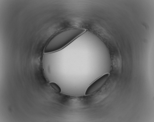 X0000114060611200910191502