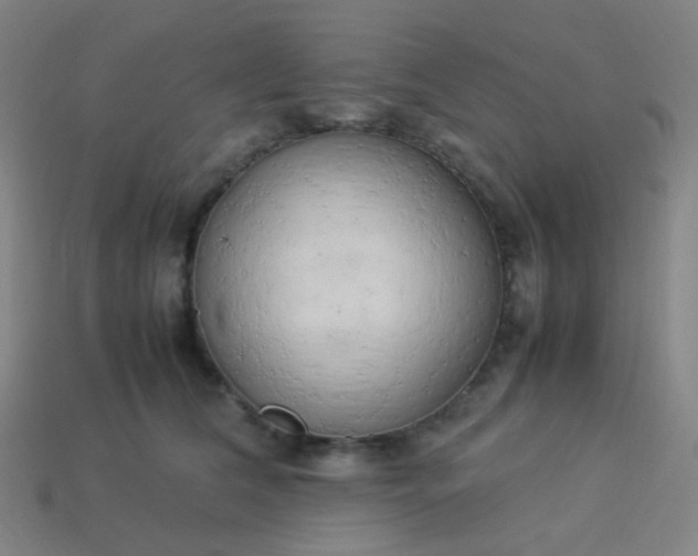 X0000114060612200910191502