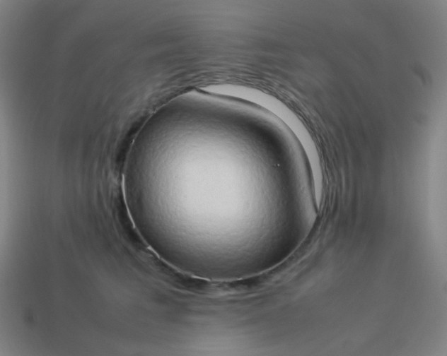 X0000114060613200910191502