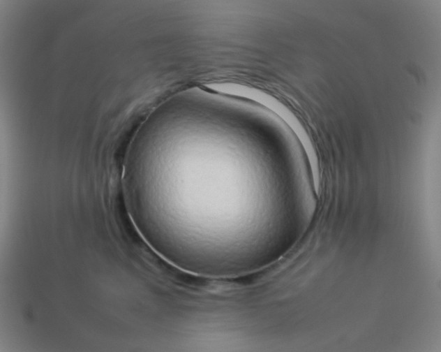 X0000114060617200910191502