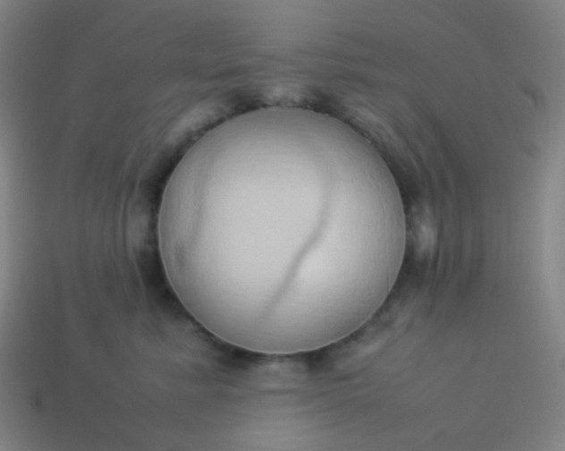 X0000114060619200910191502