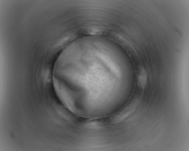 X0000114060620200910191502