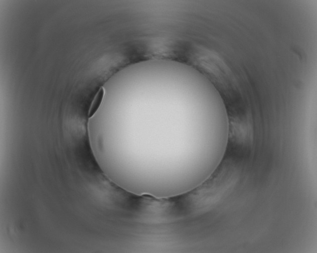 X0000114060621200910191502